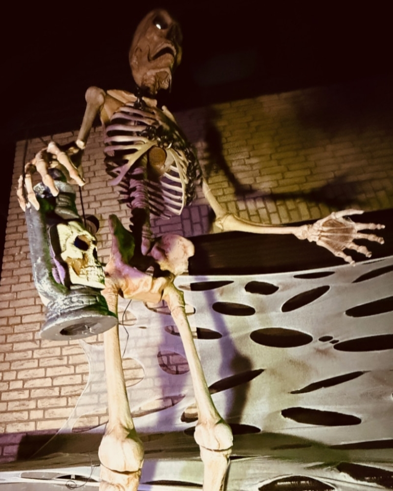 Halloween Animatronic - Mr Bones im vb30 in Boostedt bei Neumünster