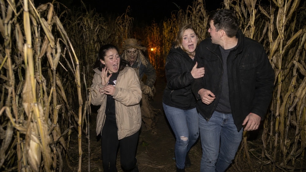 Eine Gruppe von Menschen erschreckt sich vor einem Scare-Actor in einem Horror Maislabyrinth